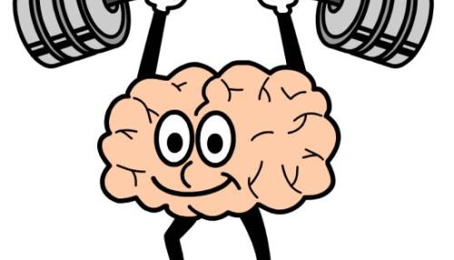 brain