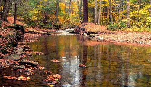 Creek